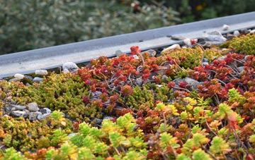 the cost of Chesley green roof installation