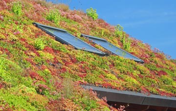 Chesley living roof systems
